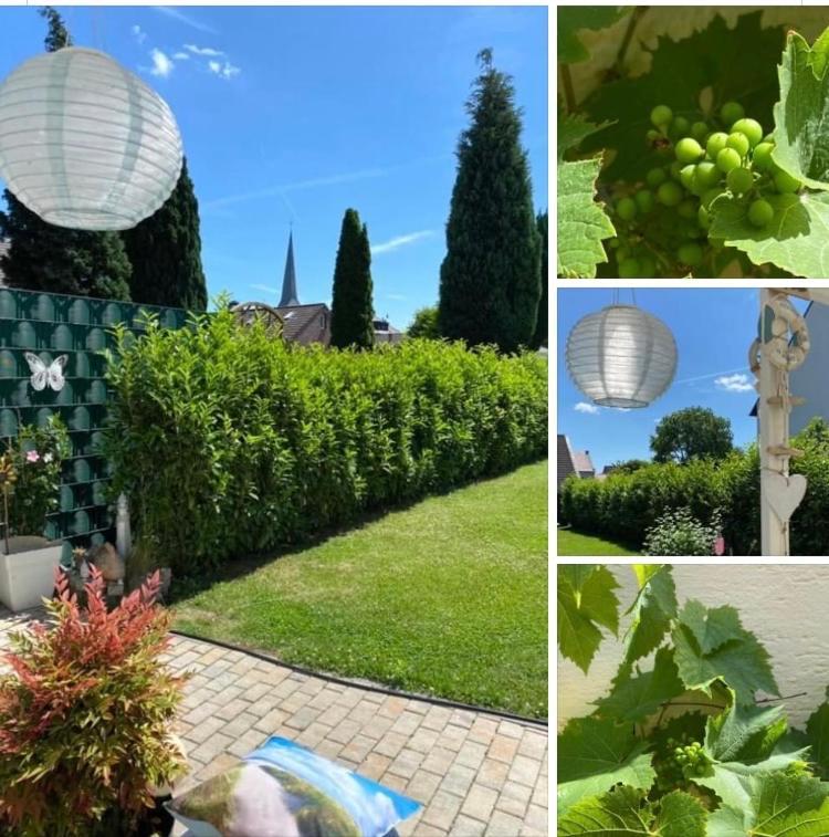 Apartment Glesch Bergheim  Bagian luar foto